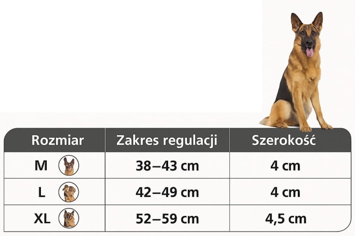 58c2cbdce2c404f7220b1e77f2b011a2.jpg