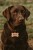 122adfe95160b98dc9799b5604eaebfc.jpg