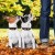 ff15d351672ea66c899454b36bae4ade.jpg