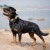 5ca1ddb38b0f4f1df6f1b75b4d96bc1a.jpg
