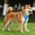 690d818c5e88b12be13136010775f41d.jpg