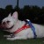 fe5d35ea2ff72818b9b9ab325df3a03f.jpg