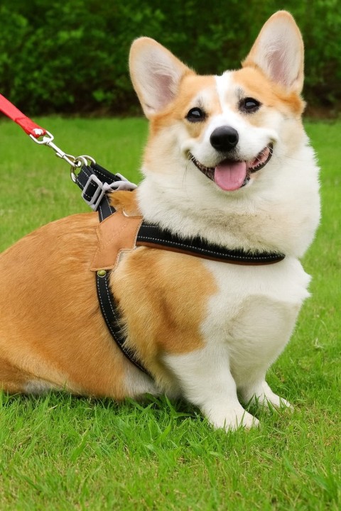 188d1dd0df79c274e883d2486d69bacc.jpg