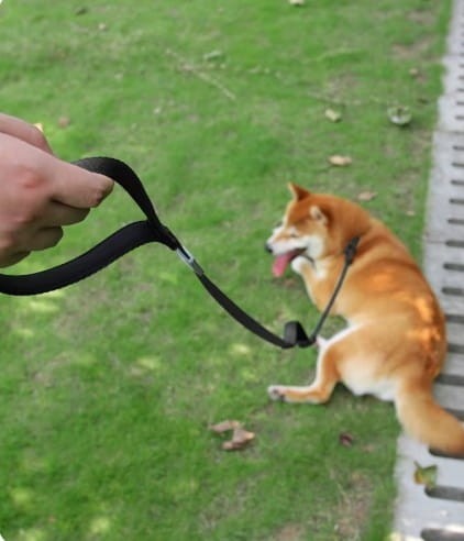 e02cc274ebbf9336439846378240de78.jpg